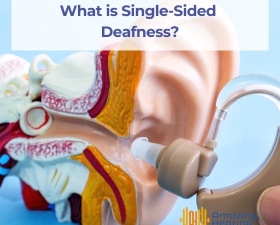 Common Causes of Echo In One s Ear Amazing Hearing Group Singapore